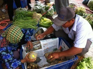 【カンボジア】ベトナム国境の農産物組合、無農薬野菜4年で売り上げは2.5倍に一NPO法人IVY