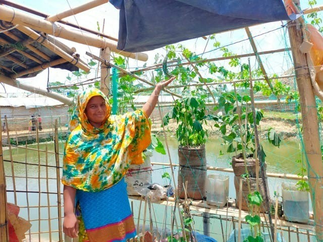 【ロヒンギャ難民支援】女性たちの年間通した野菜栽培への挑戦